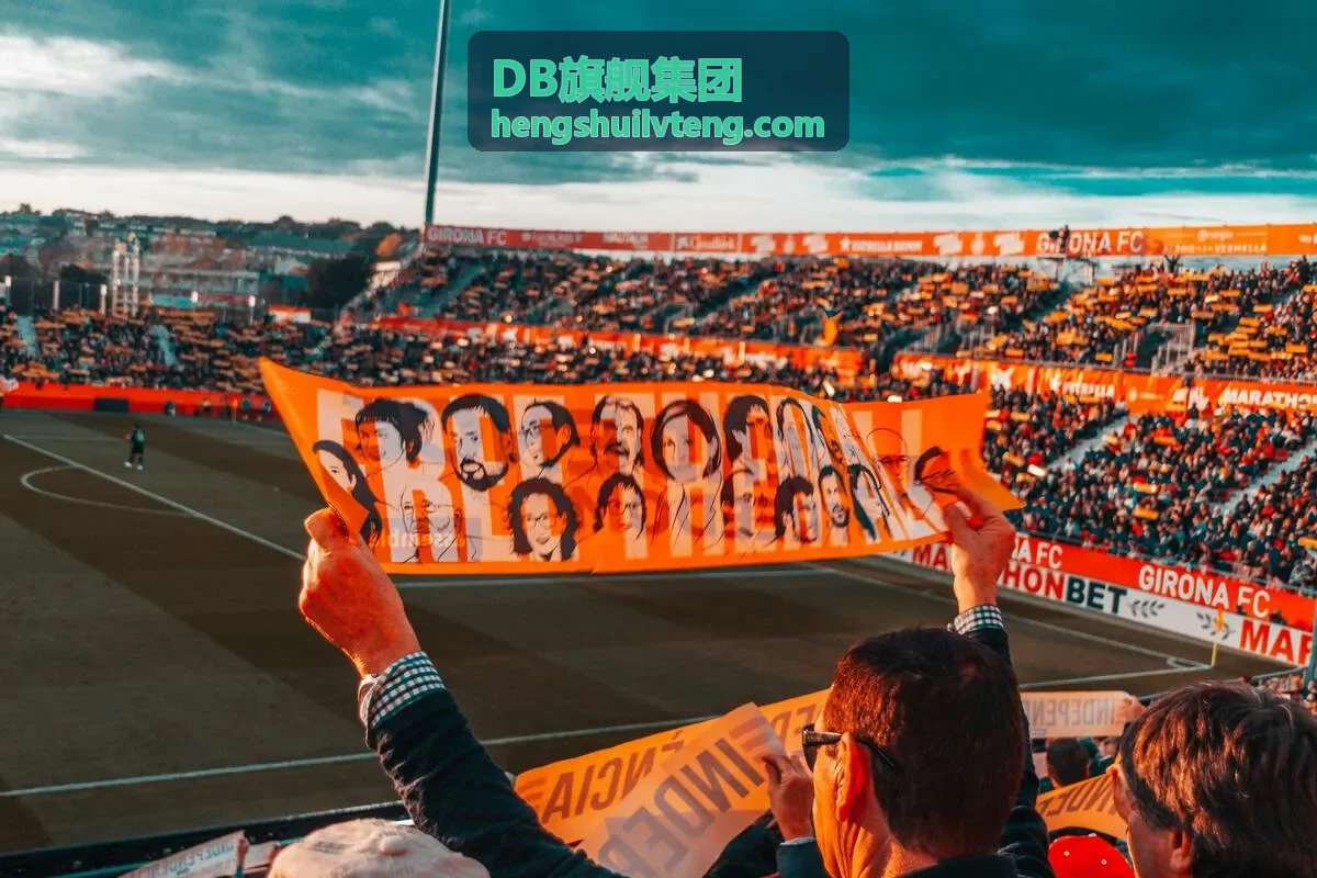 DB旗舰集团新能源案例
