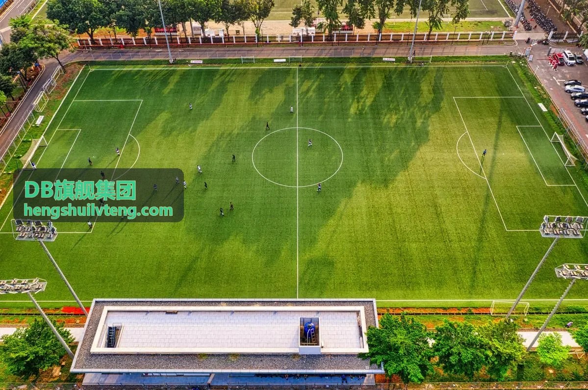 DB旗舰集团供应链案例